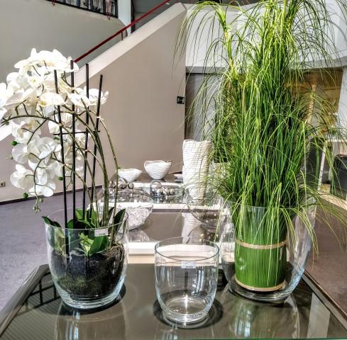 אזל - Decor 2 Home