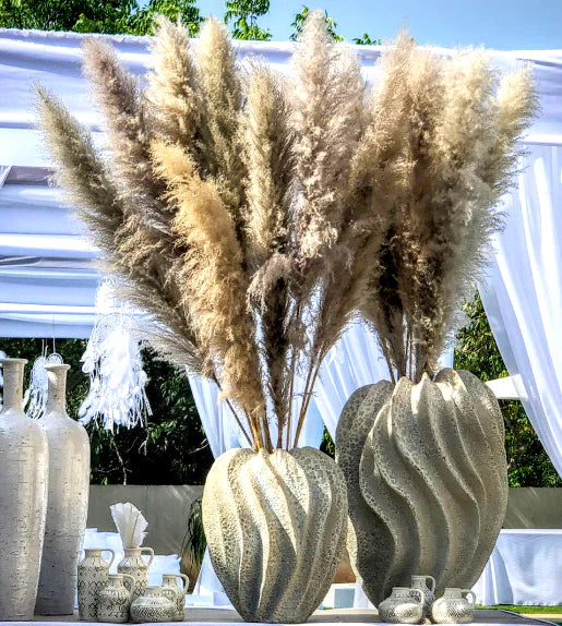 ענפי פמפס גובה 130 סמ - Decor 2 Home