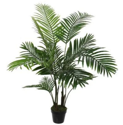 green orca plant 120 cm