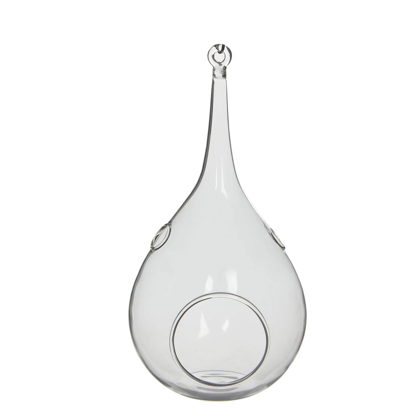 אגס זכוכית נתלה לצמחי אוויר