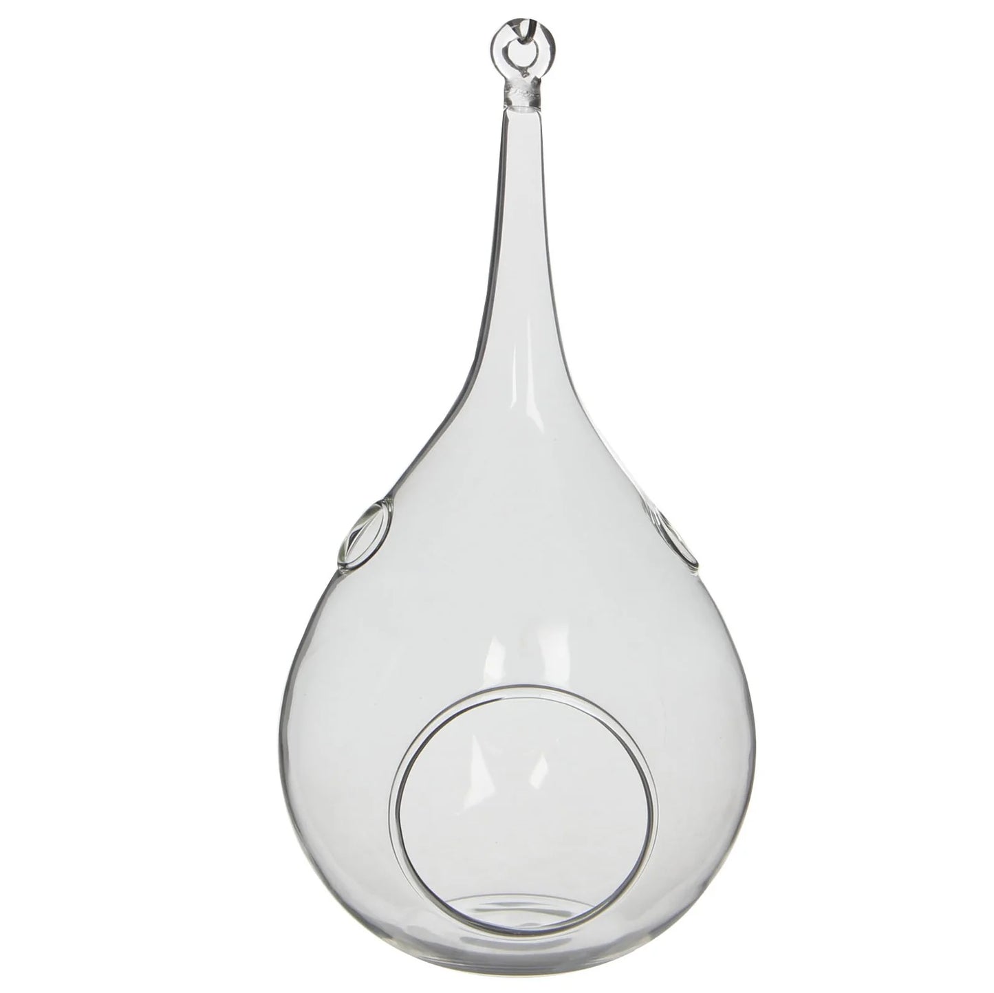 אגס זכוכית נתלה לצמחי אוויר