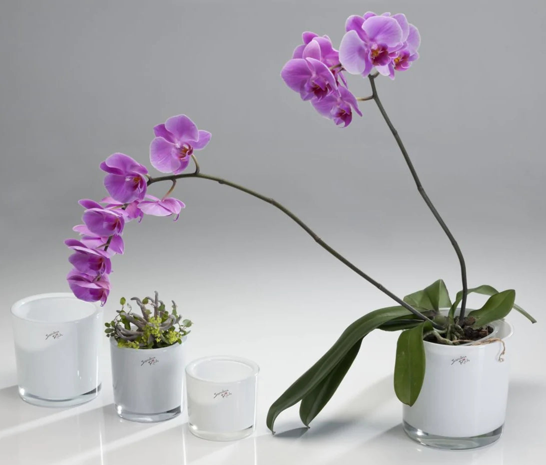 צילינדר זכוכית עבה לבן בגדלים 10 12 14 סמ - Decor 2 Homewhite cylinde very thick glass diferent sizes  for fregrances candles casting or flowers bouquet 