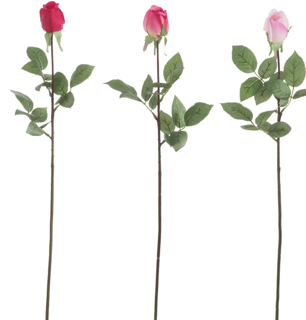 ורד ראש סגור גווני ורוד - Decor 2 Home