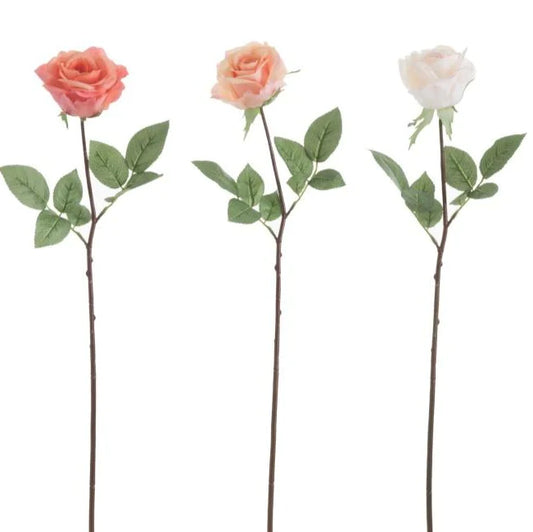 pink ross 60 cm 