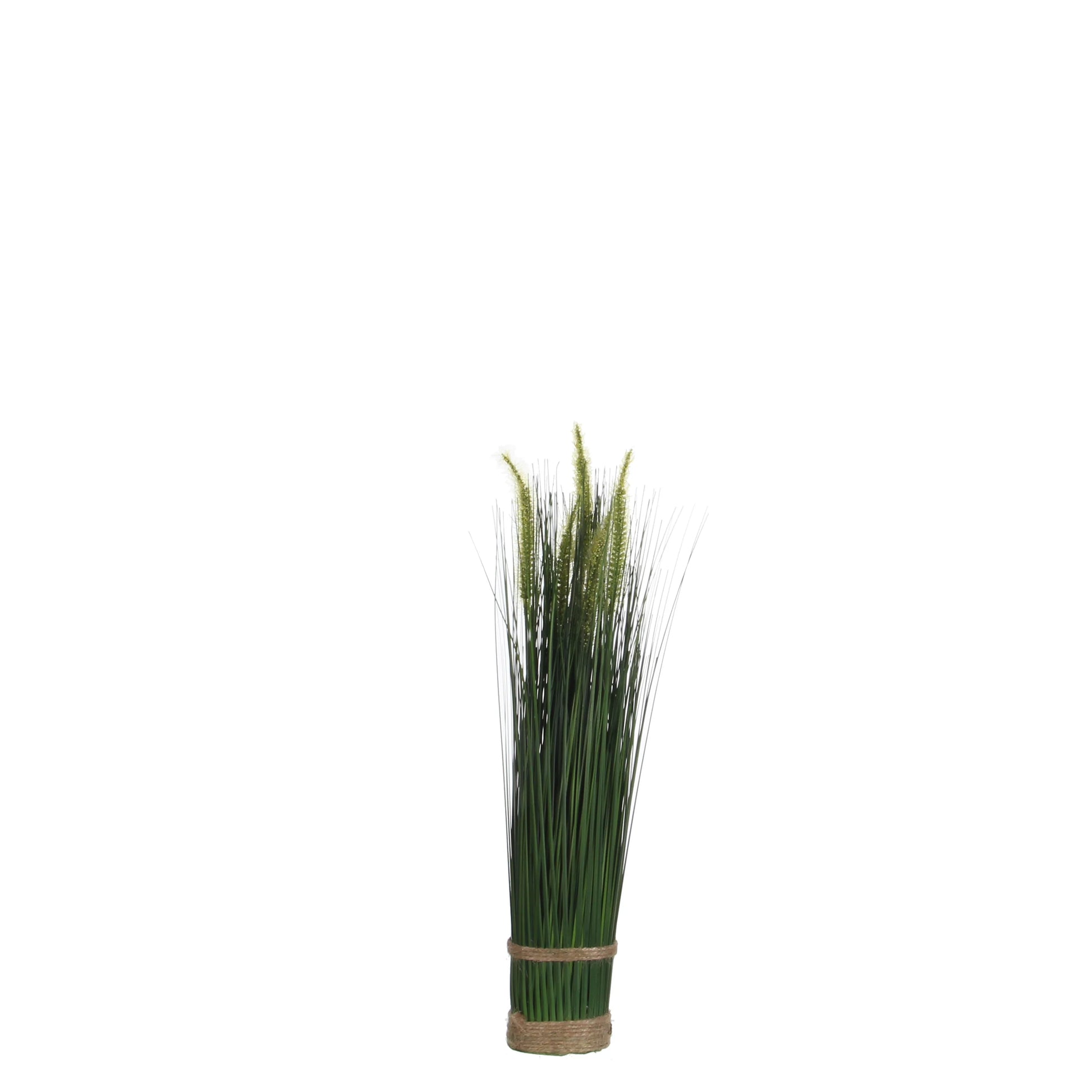 גראס ירוק מאגדת של עלי גראס ירוק בגובה 35 ו 50 סמ - Decor 2 Home