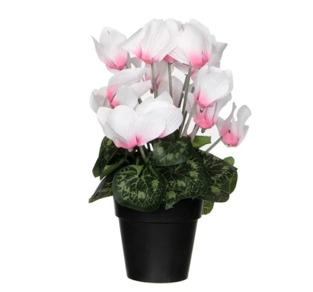 רקפת לבנה ורודה צמח מלאכותי 25 סמ - Decor 2 Home