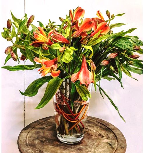 אלסטרומריה וסאליקס באגרטל קוני זכוכית עבה - Decor 2 Home