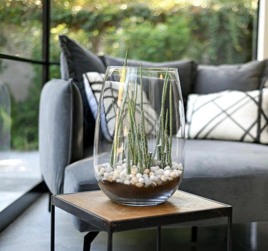 אגרטל זכוכית שקופה בצורת ביצה